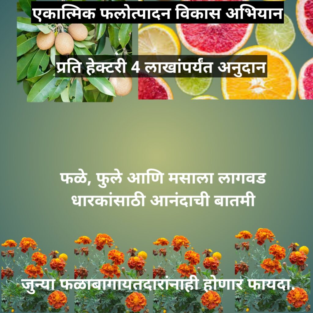 Integrated Horticulture Development Mission | एकात्मिक फलोत्पादन विकास अभियानातंर्गत शेतकऱ्यांना मिळणार 4 लाखांपर्यंत अनुदान. 1